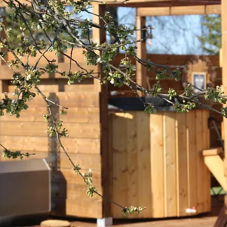 Gasthaus La Roulotte Des Amish & Bain Nordique A Remous Jacuzzi Mattexey Exterior foto